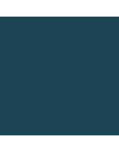Gloss Grey US Navy FS 16081 Acrylic 30ml