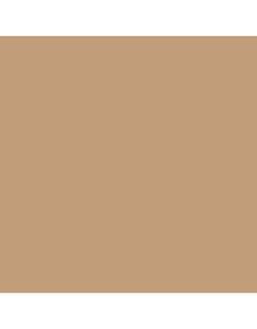 US Desert Tan Modern 2 FS 33446 Acrylic 30ml