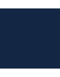 USN USMC Sea Blue FS 35042 Acrylic 30ml