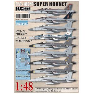 USN F/A-18E/F Super Hornet VFA-22 & VFC-12