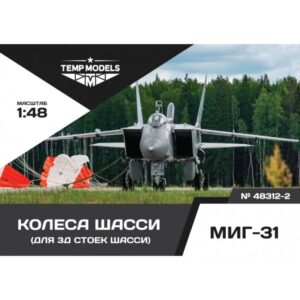 HIGHLY DETAILED WHEEL SET MIG-31 3D - 1/48