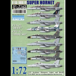 USN F/A-18E/F Super Hornet VFA-22 & VFC-12 - 1/72